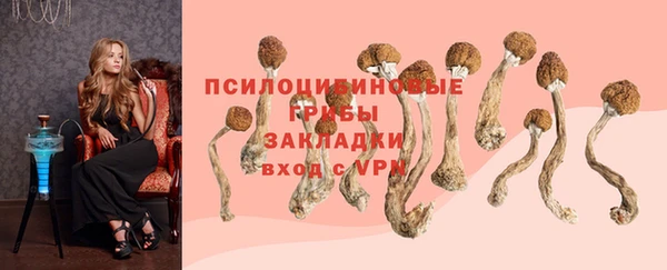 стафф Лабытнанги