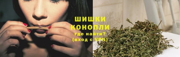 стафф Лабытнанги