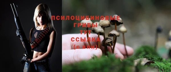 стафф Лабытнанги