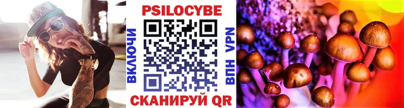 Галлюциногенные грибы GOLDEN TEACHER  Купить  Подольск 